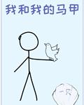 我和我的马甲